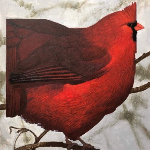 Ohio Cardinal